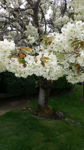 Grants Pass Vet Center