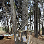 Photo n°17 de l'avis de Vasco.i fait le 14/08/2022 à 11:02 sur le  Palace Hotel & Spa - Termas de São Tiago à Penamacor