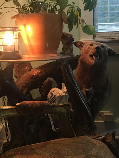 Explore pantera tattoo ideas, creative tattoo ideas in Nashville, available at Alchemy Nashville