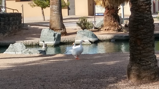 Park «Encanto Park», reviews and photos, 2605 N 15th Ave, Phoenix, AZ 85007, USA