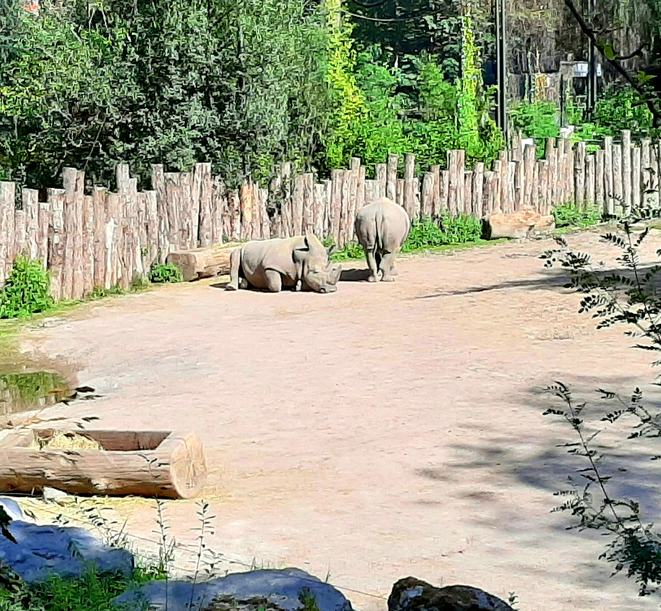 Photo n° 3 de l'avis de Nicolas.a fait le 06/09/2020 à 15:01