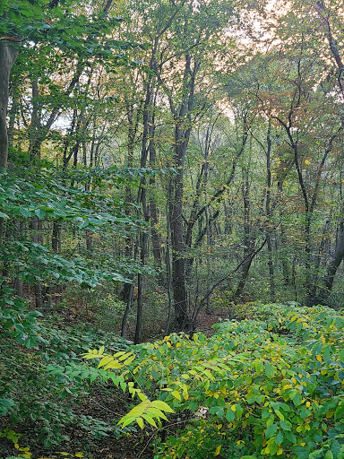 Museum «Barclay Farmstead Museum», reviews and photos, 209 Barclay Ln, Cherry Hill, NJ 08034, USA