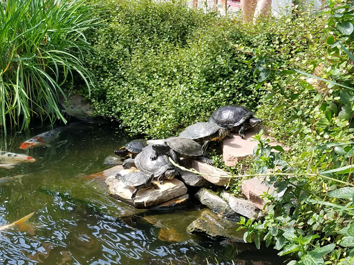 Park «All American Park», reviews and photos, 1551 S Buffalo Dr, Las Vegas, NV 89117, USA