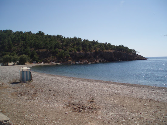 Beach Papalia