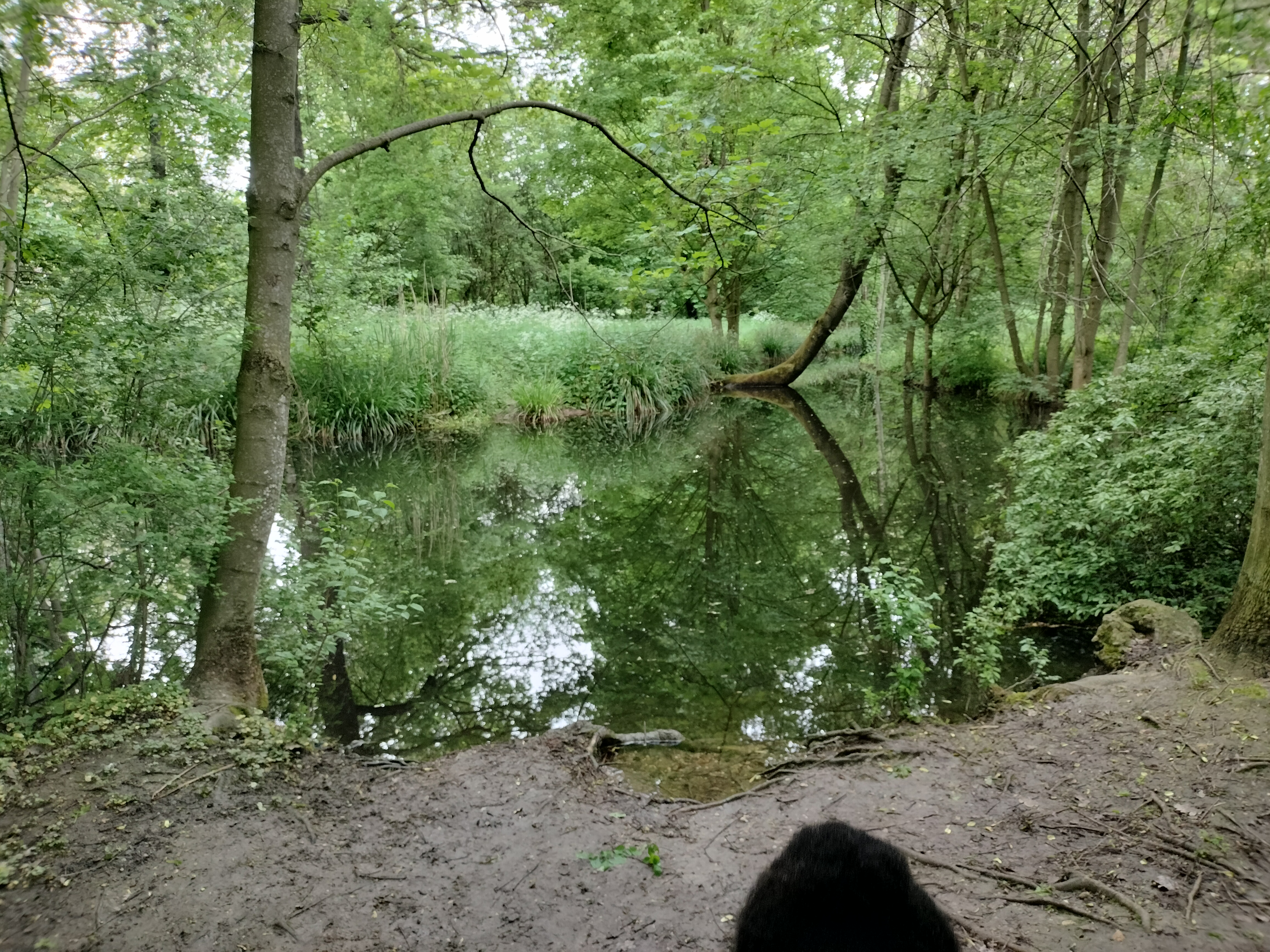 Photo n° 3 de l'avis de Linguère.a fait le 12/05/2023 à 19:09