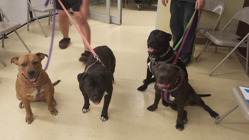 Pet Supply Store «Petco Animal Supplies», reviews and photos, 168 Ames Dr, Barre, VT 05641, USA