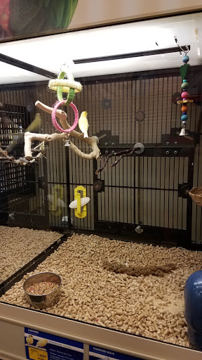 Pet Supply Store «PetSmart», reviews and photos, 4045 Dowlen Rd, Beaumont, TX 77706, USA