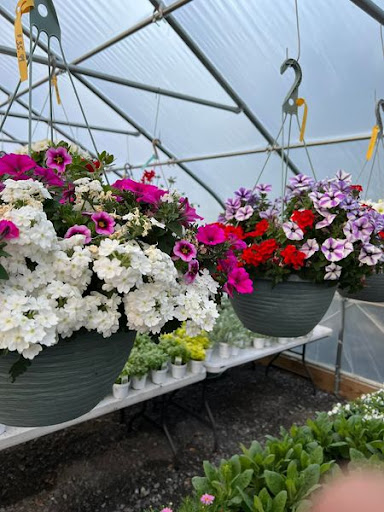 Florist «TG Designs», reviews and photos, 19231 Longmeadow Rd, Hagerstown, MD 21742, USA