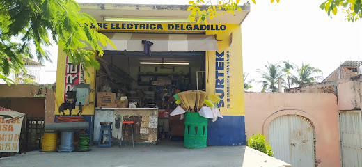 Eléctrica Delgadillo