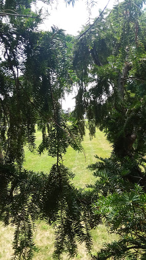 Park «Wahby Park», reviews and photos, 24800 Jefferson Ave, St Clair Shores, MI 48080, USA