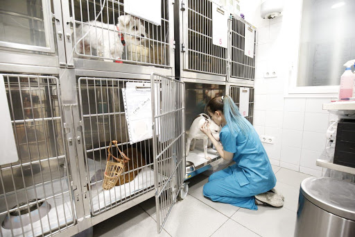 Veterinary Medical Center Delicias en Madrid
