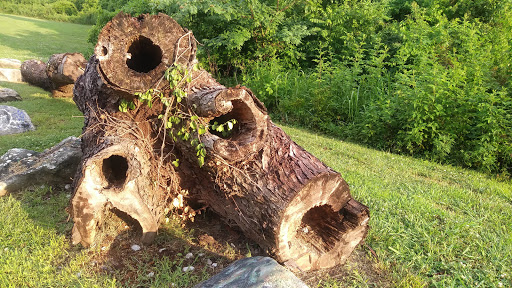 Golf Course «Two Rivers Golf Course», reviews and photos, 2235 2 Rivers Pkwy, Nashville, TN 37214, USA