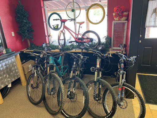 Geared Up shop front