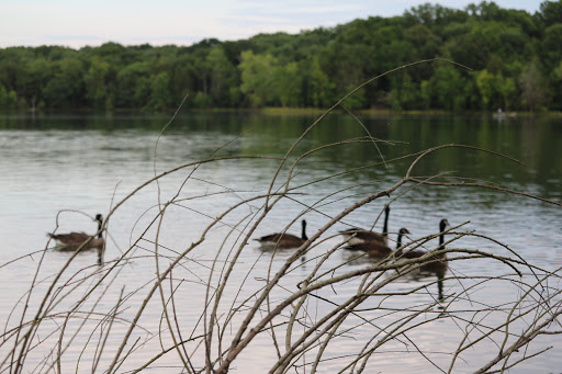 State Park «Long Hunter State Park», reviews and photos, 2910 Hobson Pike, Hermitage, TN 37076, USA