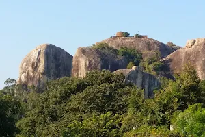 Kudumbigala Sanctuary image