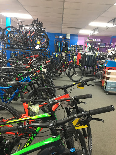 Bicycle Store «Hillsboro Bicycle Center», reviews and photos, 3330 W Hillsboro Blvd, Deerfield Beach, FL 33442, USA