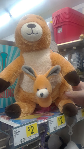 Discount Store «Dollar General», reviews and photos, 5076 Richfield Rd, Flint, MI 48506, USA