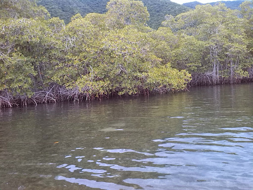 La Ciénaga de Ocumare