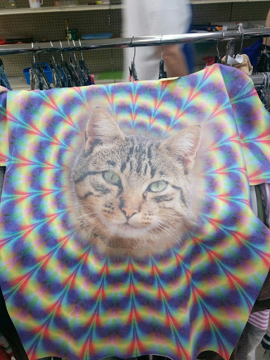 Thrift Store «Salvation Army Family Store», reviews and photos, 34-02 Steinway St, Long Island City, NY 11101, USA