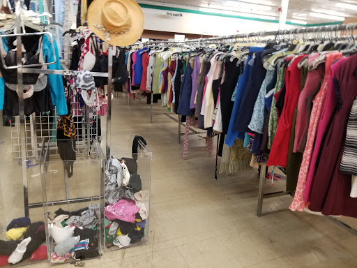 Thrift Store «Collection Connection», reviews and photos, 5014 E Busch Blvd, Tampa, FL 33617, USA
