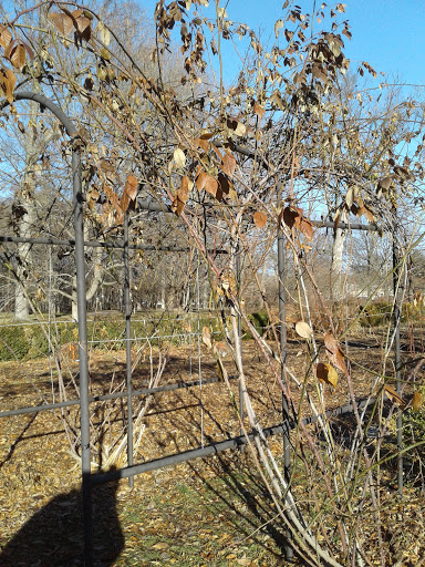 Historical Place «Locust Grove Estate», reviews and photos, 2683 South Rd, Poughkeepsie, NY 12601, USA