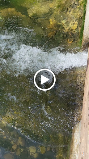 Cuesta Canyon Park image