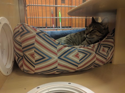 Pet Supply Store «PetSmart», reviews and photos, 300 NJ-18, East Brunswick, NJ 08816, USA