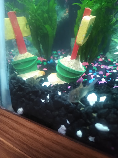 Pet Supply Store «PetSmart», reviews and photos, 355 Howe Ave, Cuyahoga Falls, OH 44221, USA