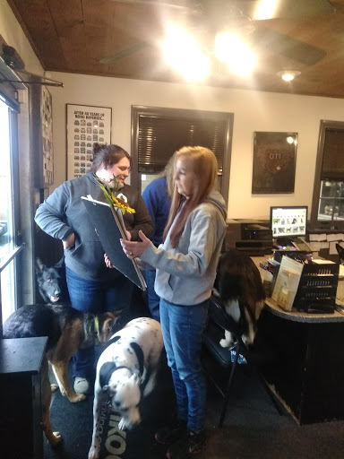 Used Car Dealer «Bonalle Auto Sales and Repair», reviews and photos, 501 E Penn Ave, Cleona, PA 17042, USA