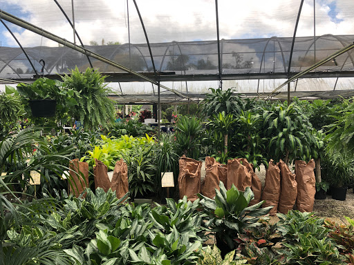 Wholesale Plant Nursery «Galloway Farm Nursery Inc.», reviews and photos, 7790 SW 87th Ave, Miami, FL 33173, USA