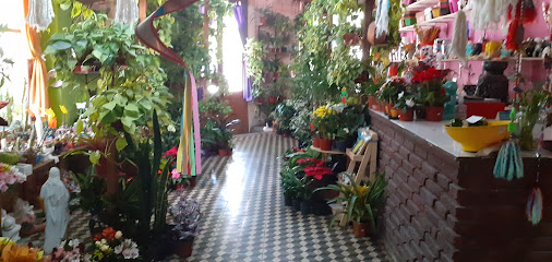 Floreria Ayacucho