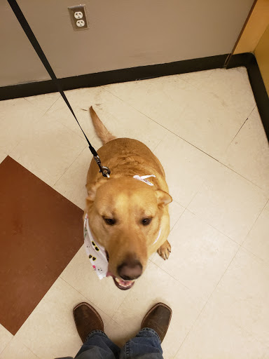 Pet Supply Store «PetSmart», reviews and photos, 1050 McKinley Pl Dr #30, San Marcos, TX 78666, USA