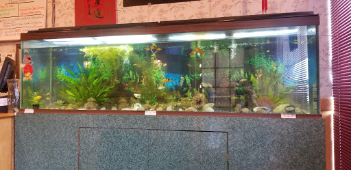 Chinese Restaurant «Golden Dragon: White Oak Center», reviews and photos, 5818 Cheviot Rd, Cincinnati, OH 45247, USA