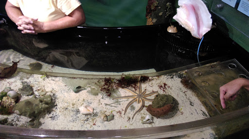 Aquarium «Smithsonian Marine Ecosystems Exhibit», reviews and photos, 420 Seaway Dr, Fort Pierce, FL 34949, USA