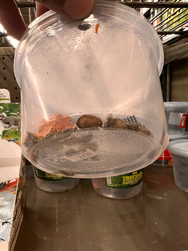 Pet Supply Store «Petco Animal Supplies», reviews and photos, 5994 Montana Ave, El Paso, TX 79925, USA