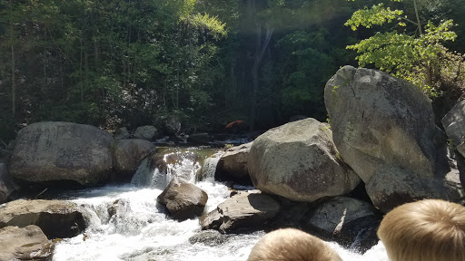 Tourist Attraction «The Gorge - A Zipline Canopy Tour», reviews and photos, 166 Honey Bee Dr, Saluda, NC 28773, USA