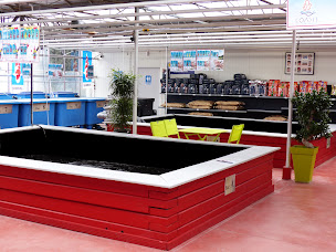 Photo n°9 de L'Oasis (matériel de bassin et carpe Koi japonaise) à Saint-Georges-sur-Baulche ()