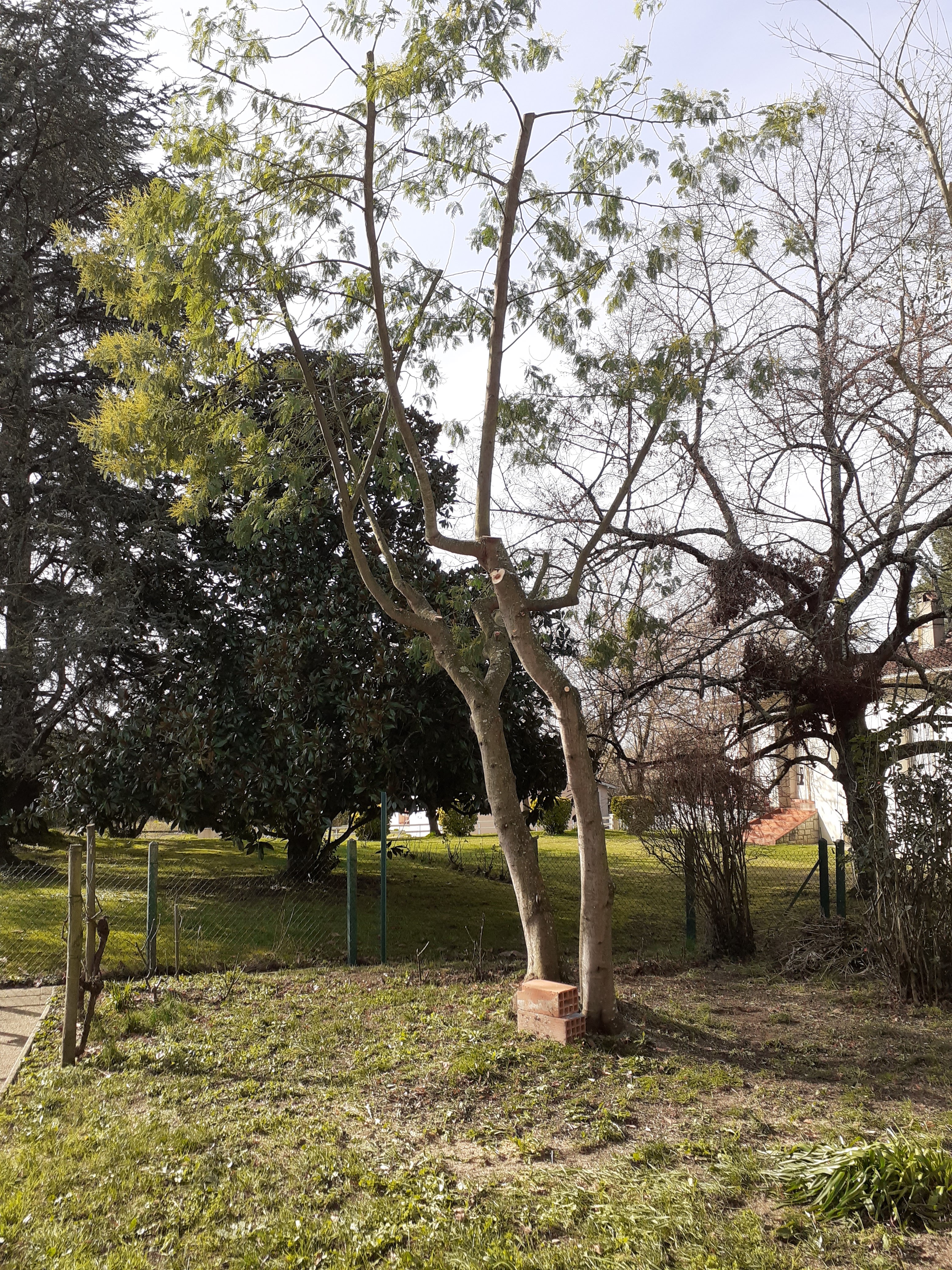 Photo n° 3 de l'avis de hirondelle.y fait le 07/02/2024 à 15:41