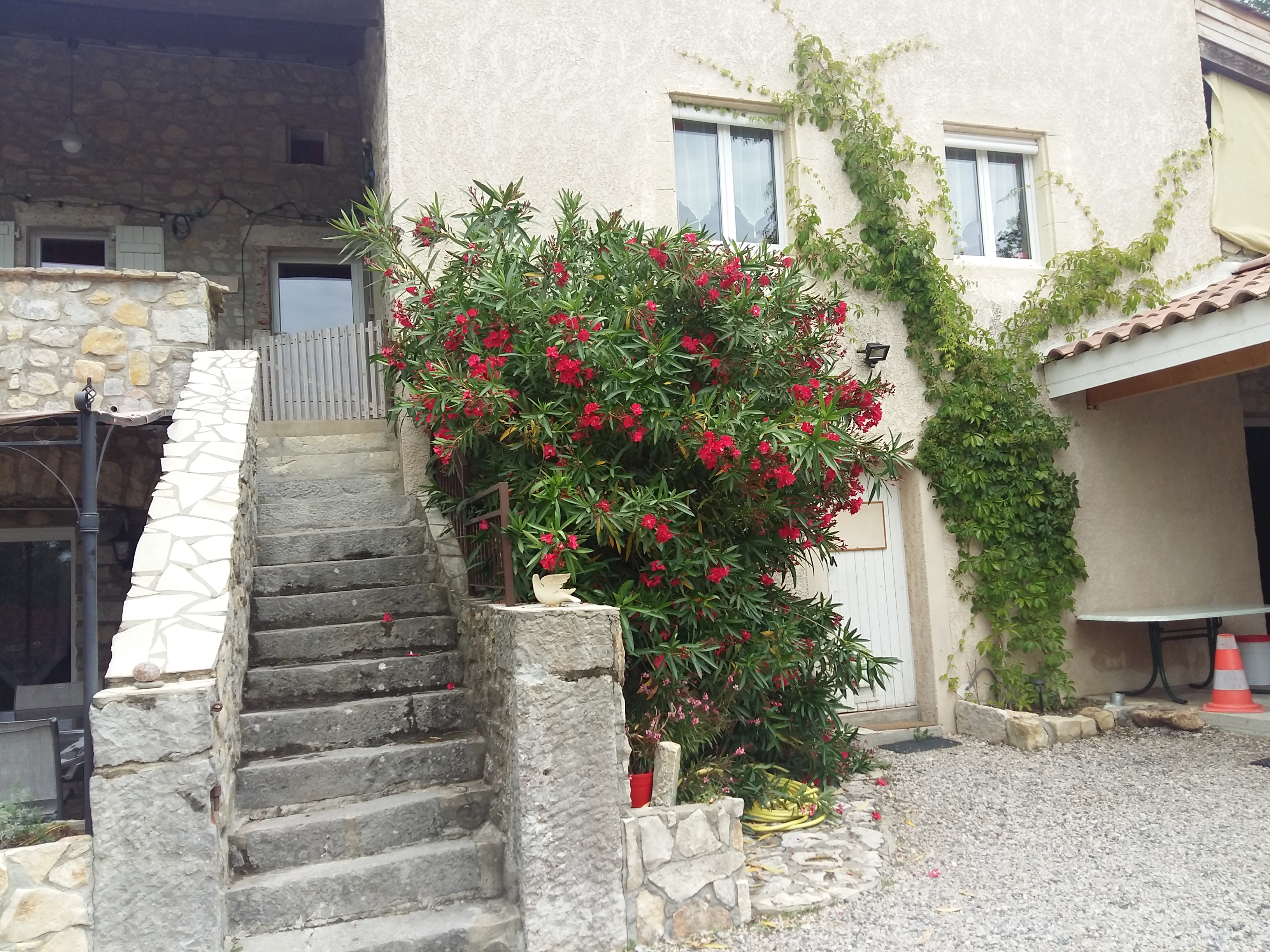 Photo n° 2 de l'avis de Muriel.o fait le 18/06/2019 à 17:48