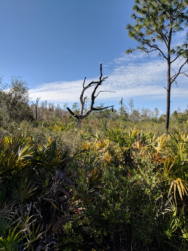 Nature Preserve «Conner Preserve», reviews and photos, 22500 FL-52, Land O Lakes, FL 34637, USA