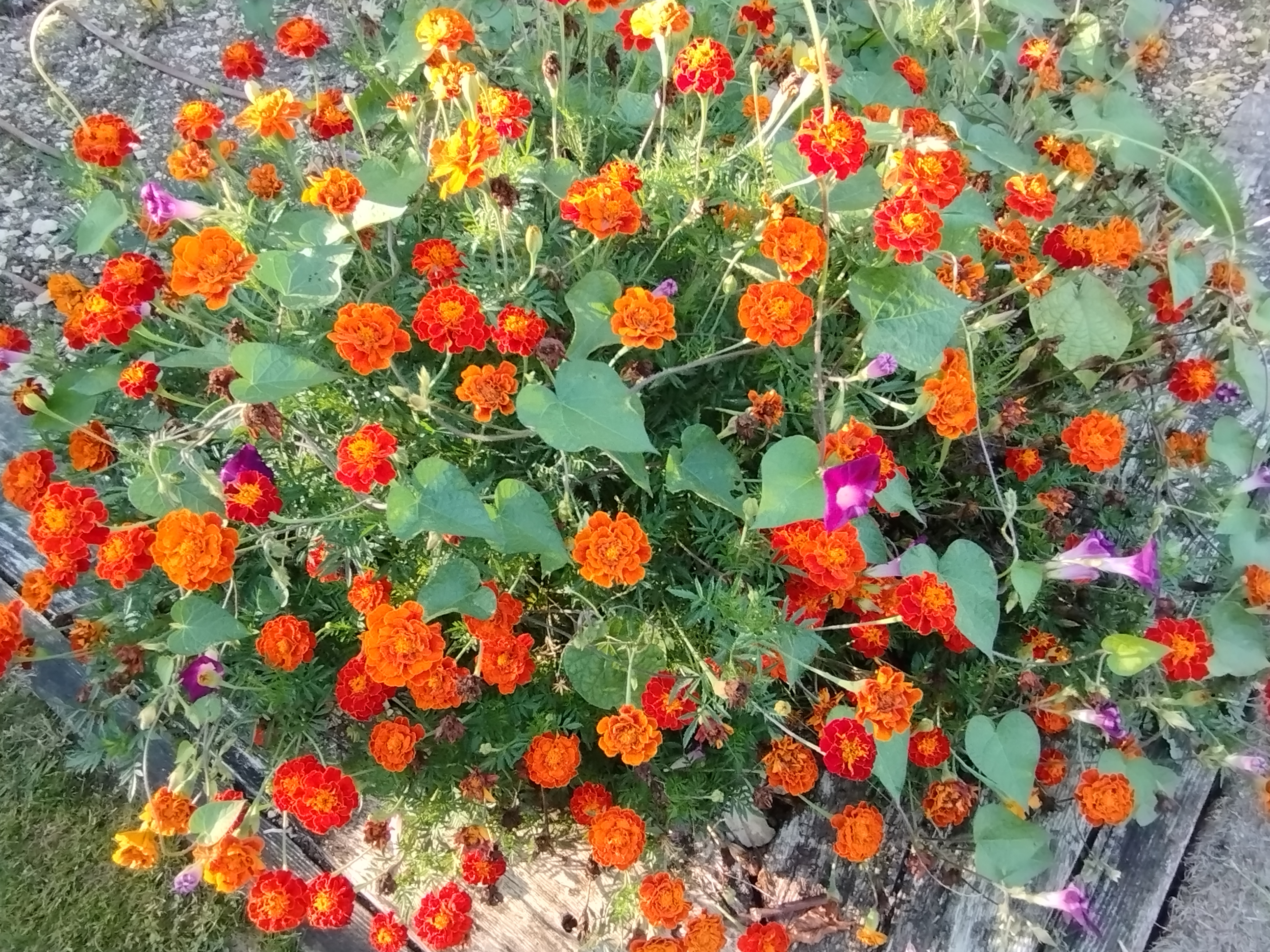 Photo n° 7 de l'avis de Régine.O fait le 23/09/2022 à 14:54