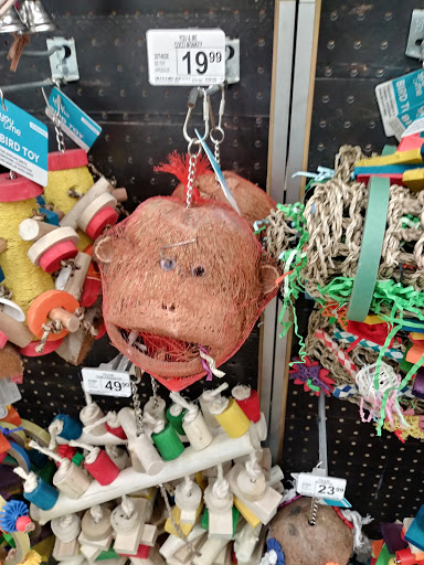 Pet Supply Store «Petco Animal Supplies», reviews and photos, 240 Upland Square Dr, Stowe, PA 19464, USA