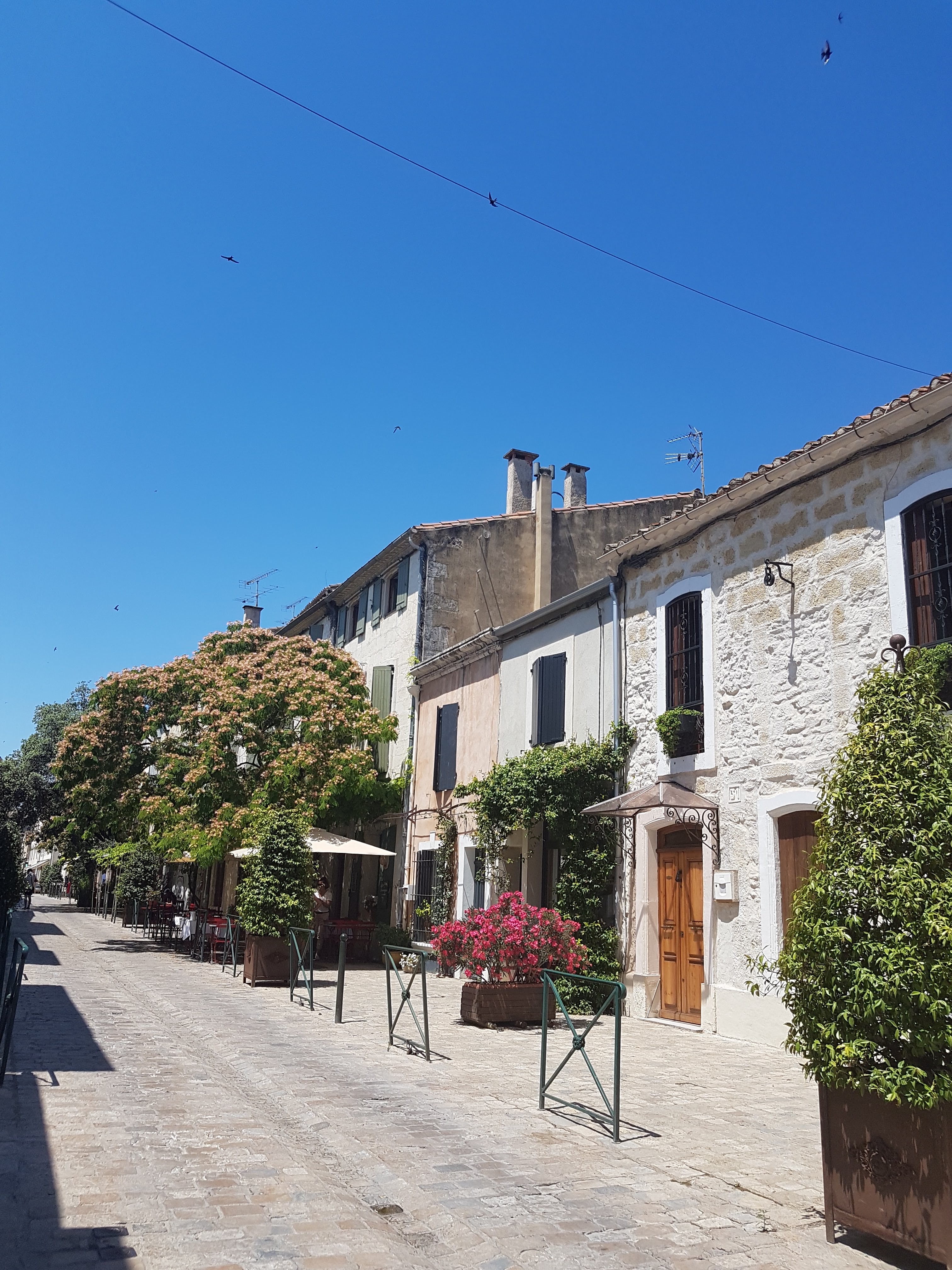 Photo n° 5 de l'avis de Christine.R fait le 24/06/2018 à 22:17
