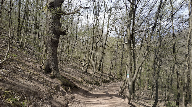 Hozzászólások és értékelések az Égervölgy parkoló-ról