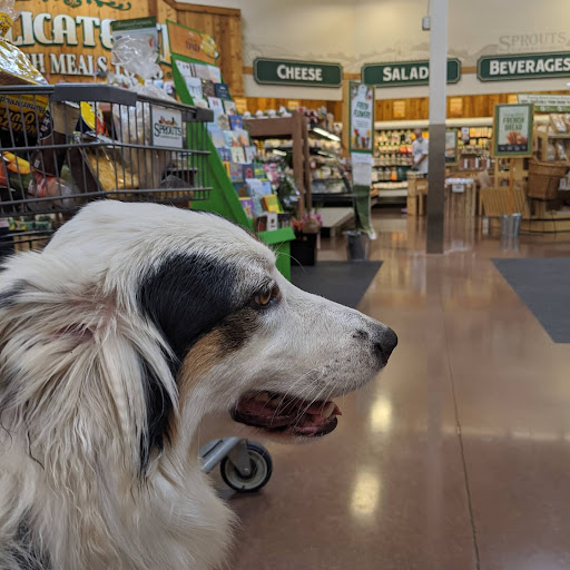 Health Food Store «Sprouts Farmers Market», reviews and photos, 5130 Peachtree Pkwy #100, Peachtree Corners, GA 30092, USA