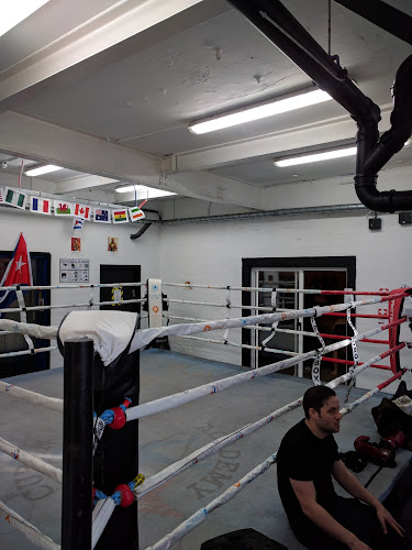 Reviews of Cuban Boxing Academy in London - Night club