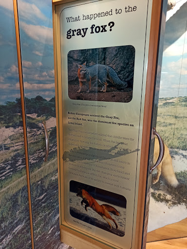 Natural History Museum «South Fork Natural History Museum & Nature Center», reviews and photos, 377 Bridgehampton-Sag Harbor Turnpike, Bridgehampton, NY 11932, USA