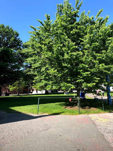 Performing Arts Theater «Sanders Theatre», reviews and photos, 45 Quincy St, Cambridge, MA 02138, USA