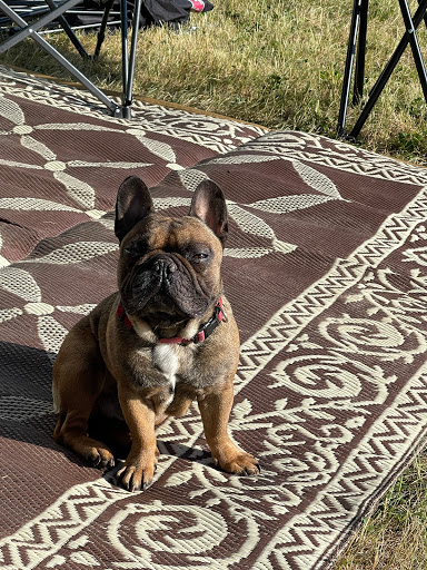 Pawn Shop «West Coast Pawn & Gun of Lakeland Florida», reviews and photos, 5619 US-98, Lakeland, FL 33809, USA