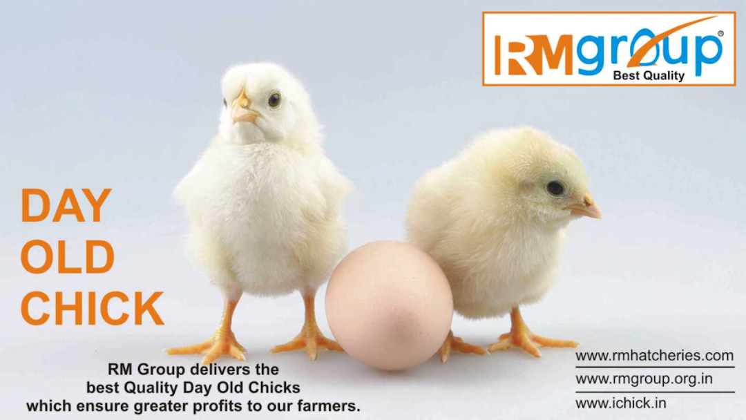 RM Hatcheries